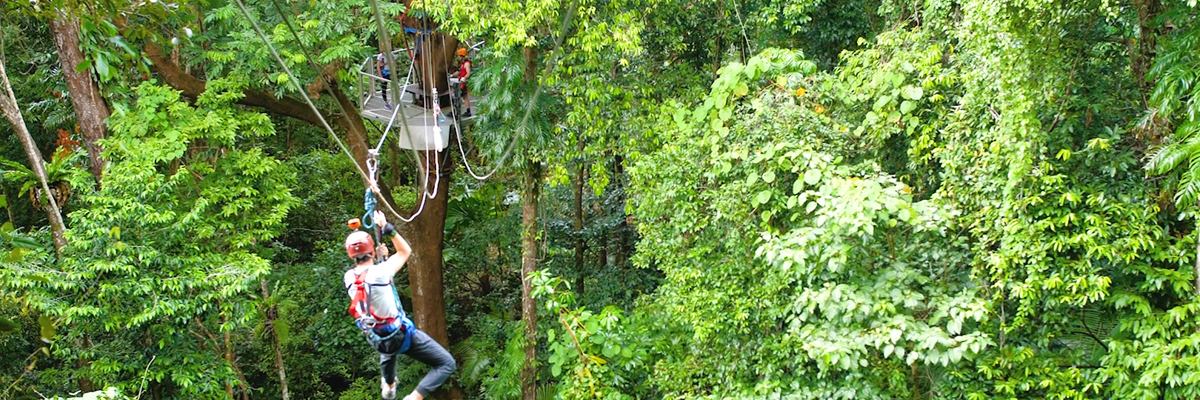 A student on a ropes course in the forest